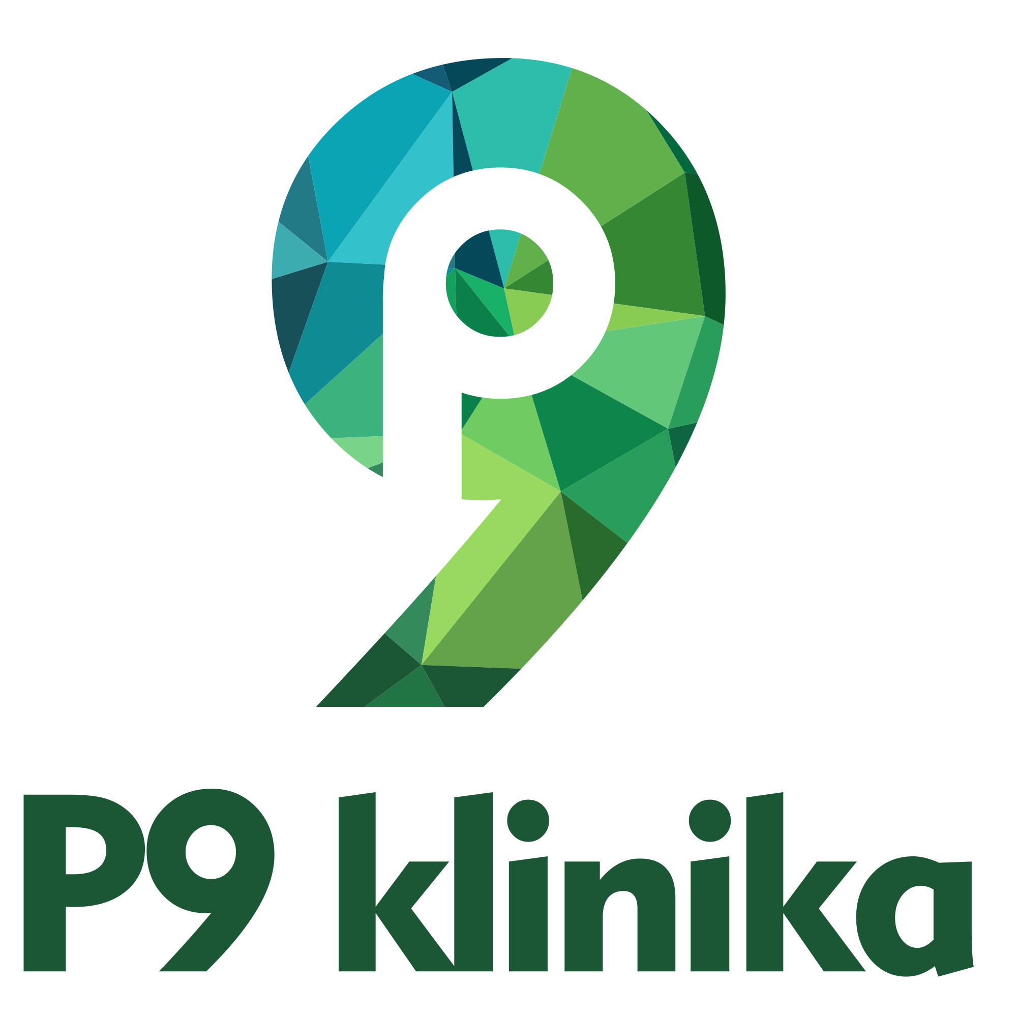 P9 klinika